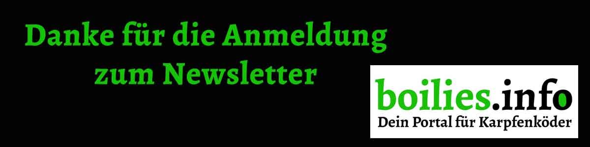 Newsletter Anmeldung Danke